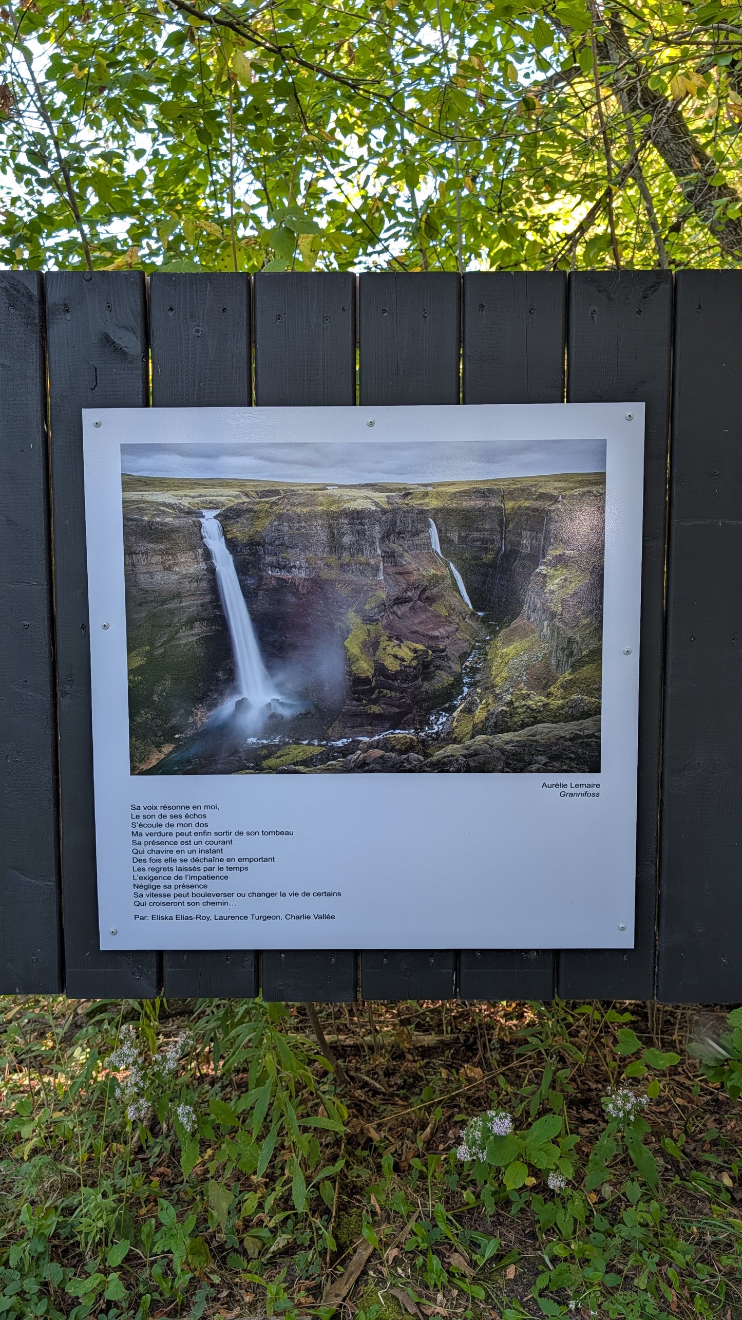 Grannifoss - Aurélie Lemaire