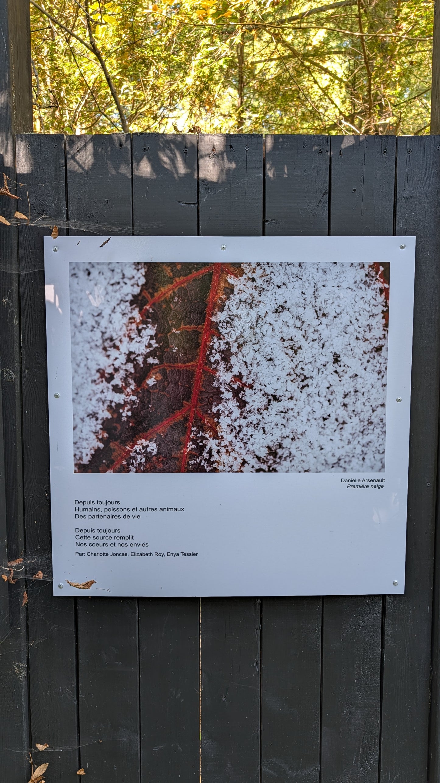 Première Neige Danielle Arsenault