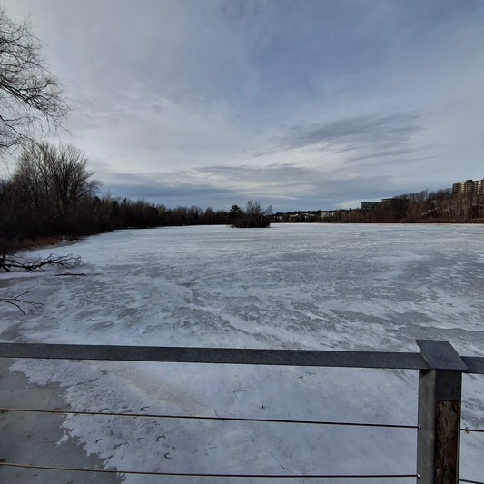 2025-12-20 13:24 (Vue T2)