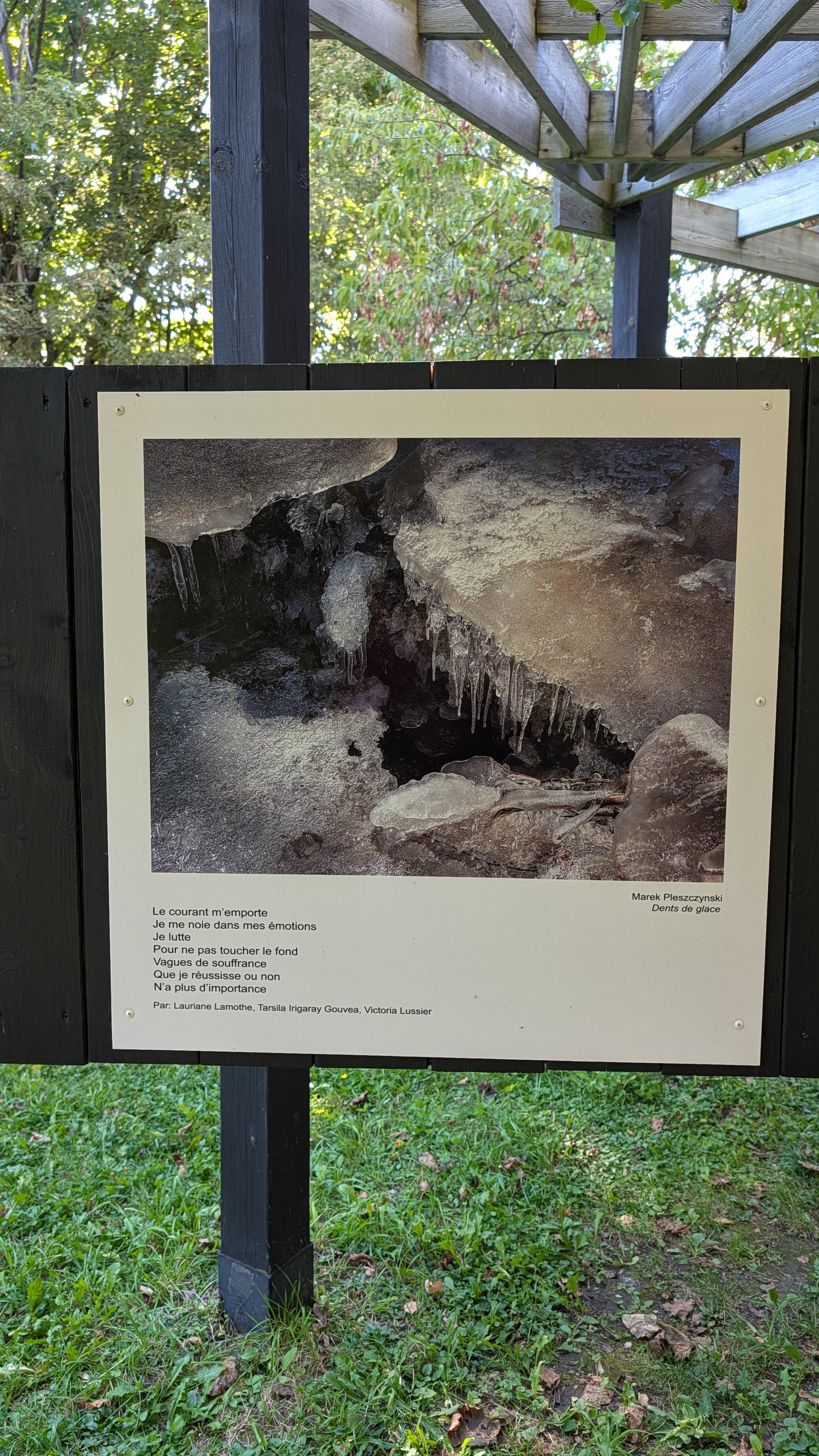 Dents de glace - Marek Plesczynski